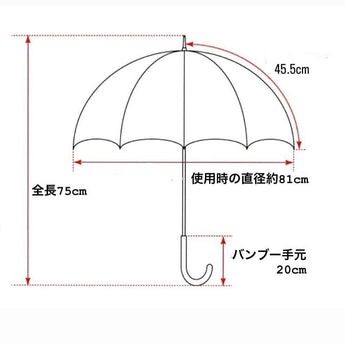 HiraTen 播州織 日傘 長傘 ペイズリー ゴールド