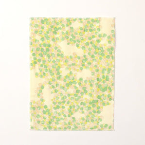 【かや織ふきん】綿100% かや織5枚重ね こもれび イイダ傘店×中川政七商店